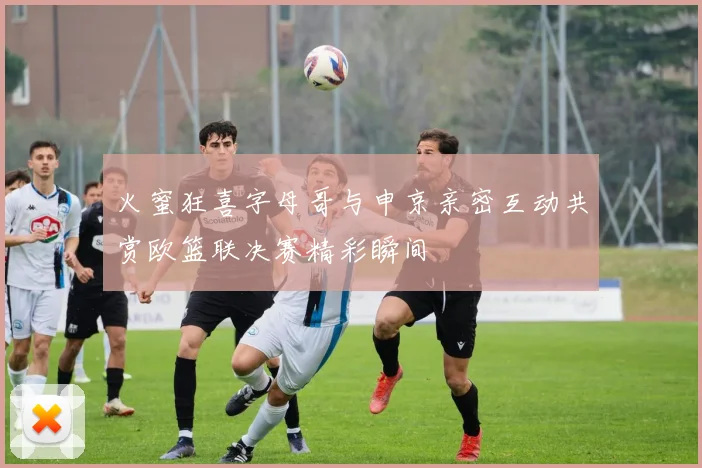火蜜狂喜字母哥与申京亲密互动共赏欧篮联决赛精彩瞬间