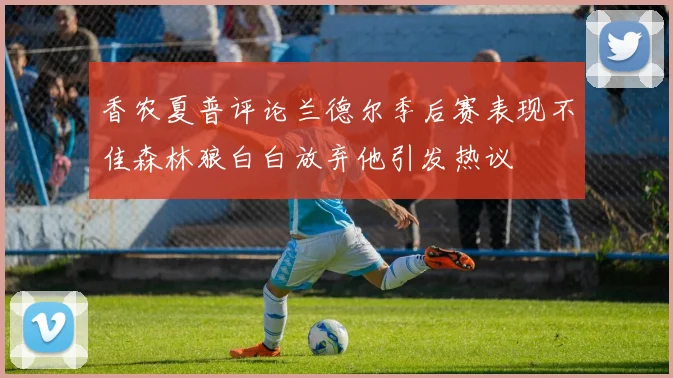 香农夏普评论兰德尔季后赛表现不佳森林狼白白放弃他引发热议