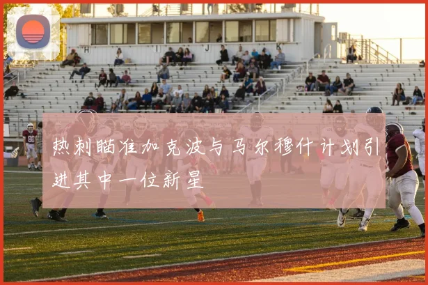 热刺瞄准加克波与马尔穆什计划引进其中一位新星
